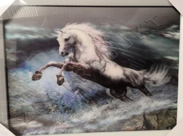Velký obrázek Obraz 3D koně různý motiv podle aktuální zásoby