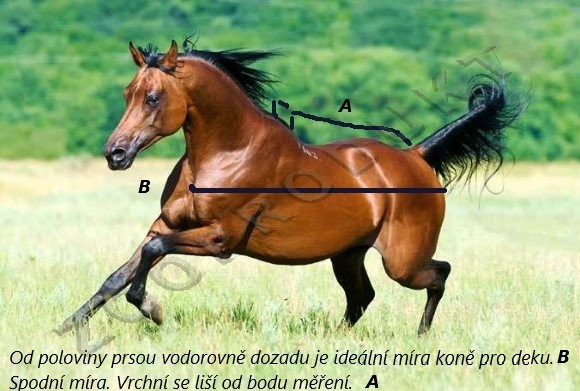 Velký obrázek Thermodeka Tattini pony výběh.neprom,vzdušná