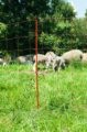 Náhled obrázku Síť ohradníková vodivá 90cm 50m délka pro ovce