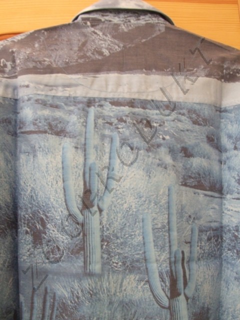 Velký obrázek Westernová košile Canyon dl.rukáv pánská