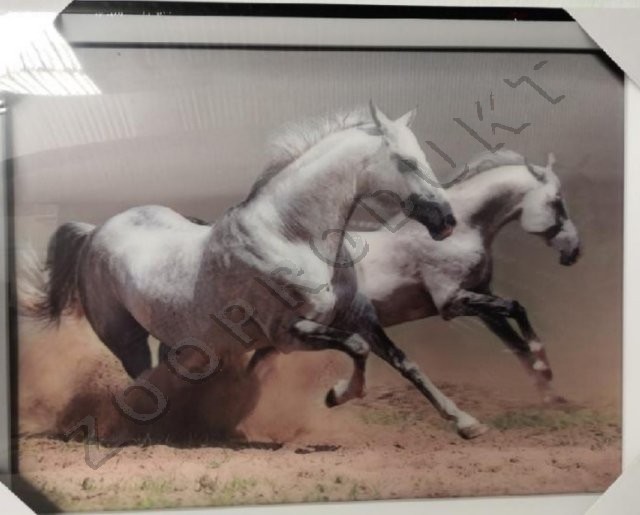 Velký obrázek Obraz 3D koně různý motiv podle aktuální zásoby